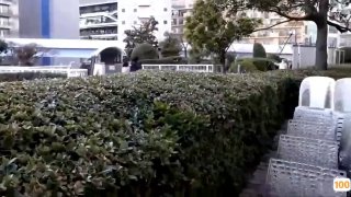 国产精品自拍啪在线